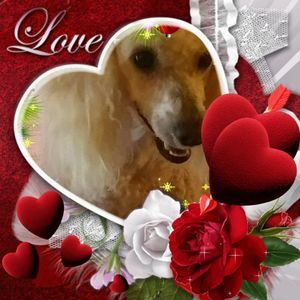 Meet your Posher, Kendra